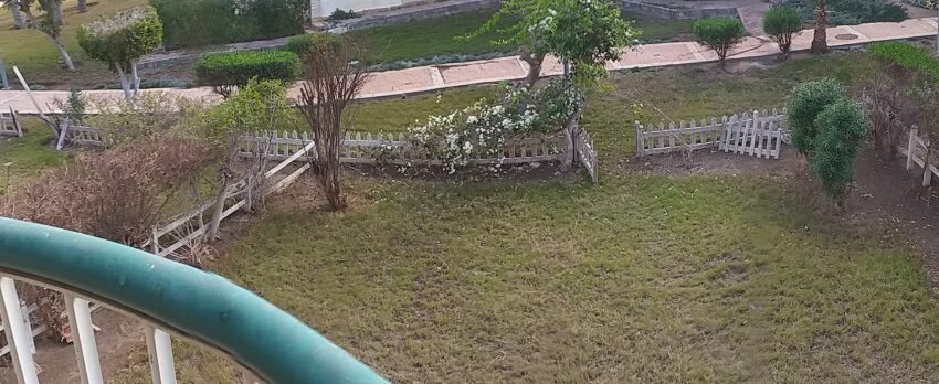 1d38e08b-f985-4af5-b6da-079681bf5c64