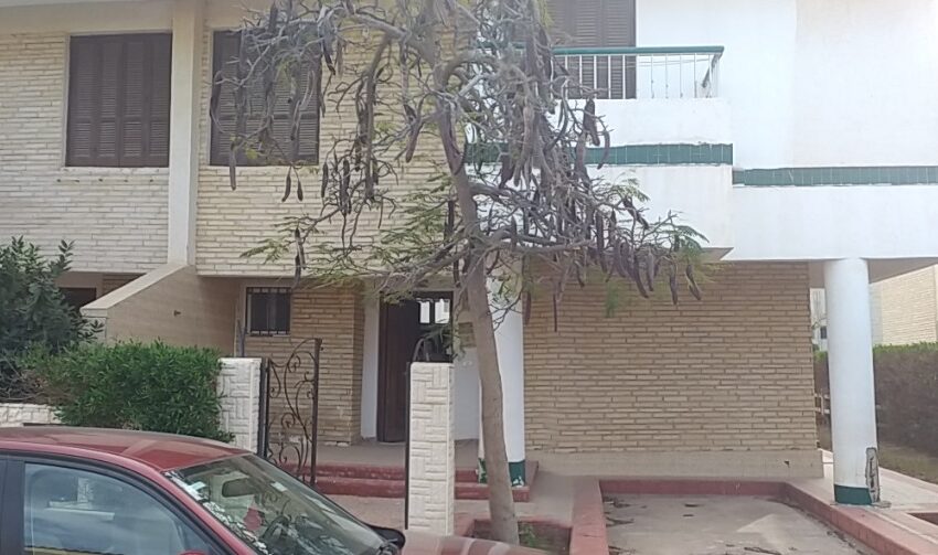 3f398bc3-5e07-4070-8f53-25e0ecb18136