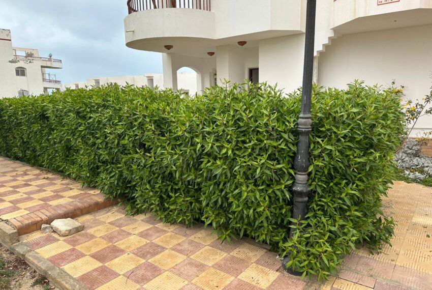 d3ee7f74-ca9b-47d0-8a7c-a324cf9220d3