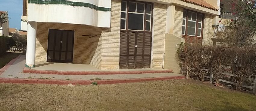 daf5f372-471d-40cc-b624-b2896ff3f00e