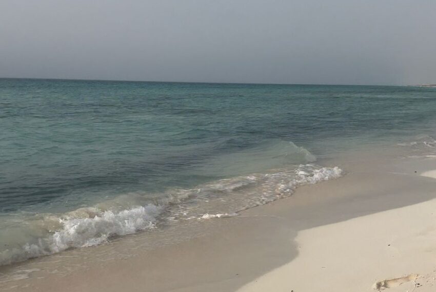 efa082ba-27d0-4ad2-9c9f-e61a871a003d