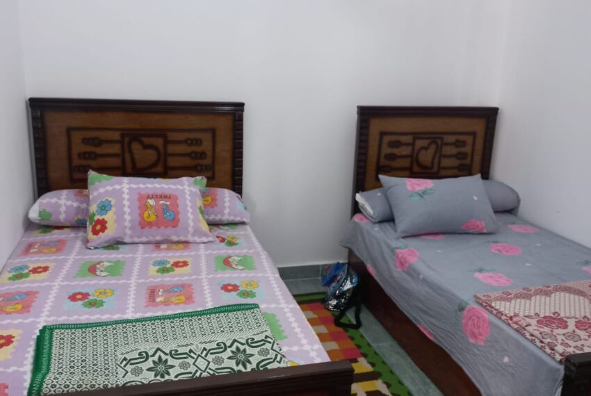 51aa0ea0-33ca-4566-a26c-56235c69e9cd